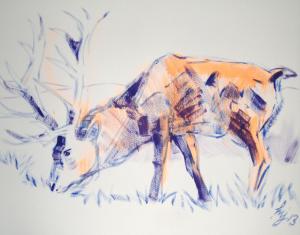 Stag Painting