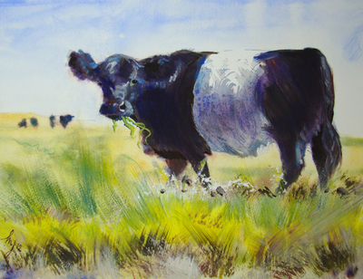 The Perfect Gift for Belted Galloway Cow lovers - Beltie Paintings on Commission with a truly personal touch